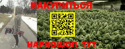 гашик Волгодонск