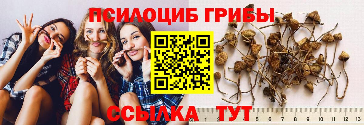 купить   Псилоцибиновые грибы мухоморы  Псилоцибиновые грибы Psilocybe  Вход с VPN  Костомукша 