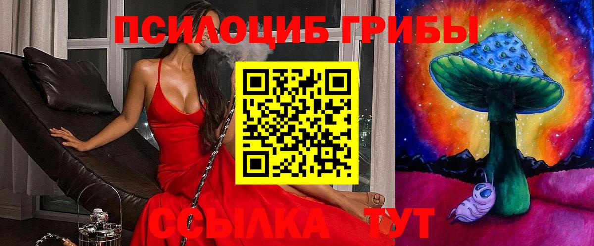 Галлюциногенные грибы Psilocybe Костомукша