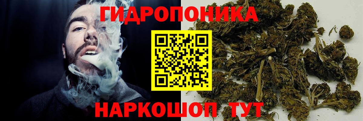 Костомукша  Шишки марихуана Amnesia  Вход с VPN  Бошки марихуана план  Каннабис Amnesia 